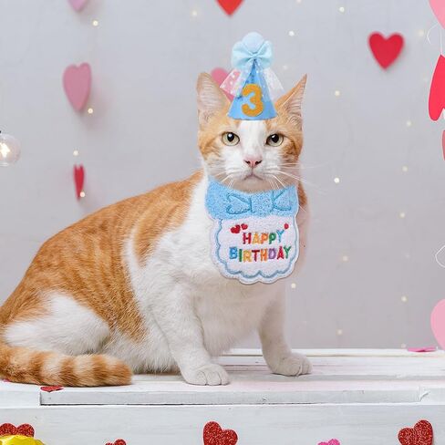 زي عيد ميلاد القط ، زرقاء كات مريلة وقبعة عيد ميلاد مع أرقام ذهبية ، عيد ميلاد هريرة باندانا الزي مريلة لزخارف عيد ميلاد الحيوانات الأليفة in Kuwait