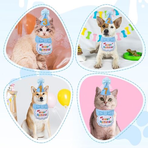 زي عيد ميلاد القط ، زرقاء كات مريلة وقبعة عيد ميلاد مع أرقام ذهبية ، عيد ميلاد هريرة باندانا الزي مريلة لزخارف عيد ميلاد الحيوانات الأليفة in Kuwait