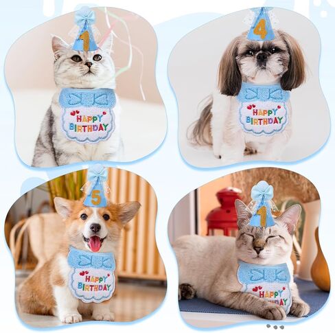 زي عيد ميلاد القط ، زرقاء كات مريلة وقبعة عيد ميلاد مع أرقام ذهبية ، عيد ميلاد هريرة باندانا الزي مريلة لزخارف عيد ميلاد الحيوانات الأليفة in Kuwait