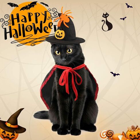 Rypet Pet Halloween Angel Costume - White Angel Feather Wings Halloween Cosplay Dress Up Accessories Puppy Cat Costume for Party Decoration in Saudi Arabia