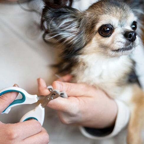 Cat Nail Clipper, Durable Stainless Steel Cat Nail Trimmer with Sharp Blade and Anti-Slip Handle, Professional Small Animal Claw Clippers for Cats Kittens Dogs Rabbits Guinea Pigs in Saudi Arabia