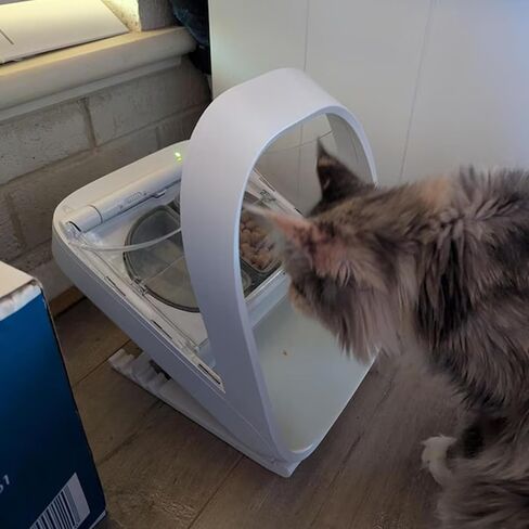 حامل قابل للتعديل لتغذية Pet Micro-Charghip Surefeed ، مرتفعة وممالة (20-45 درجة) ، تصميم مريح لتحسين الهضم in Kuwait