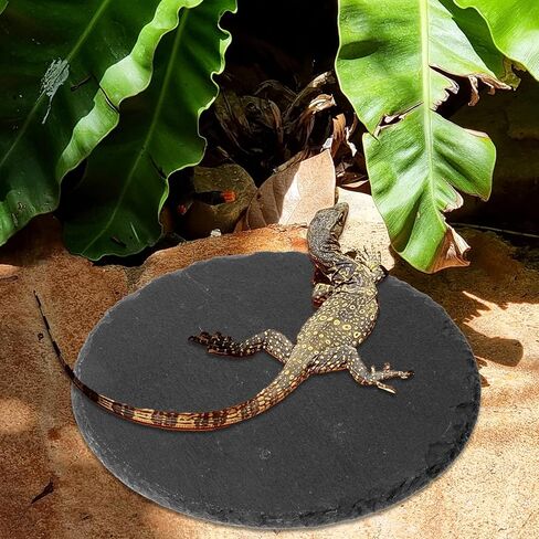 منصة تشمس الزواحف 5.9x5.9 بوصة صخرية طبيعية صخور صخور الطبق سلحفاة الموائل ديكور الموائل للديكور السحلي Crested Gecko Boughed Dragon Turtle Trans Tank in Kuwait