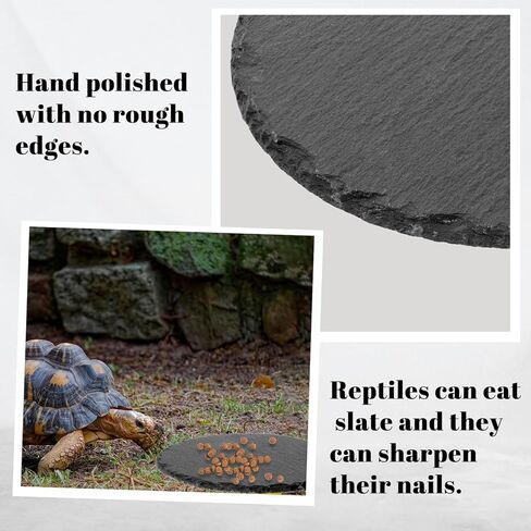 منصة تشمس الزواحف 5.9x5.9 بوصة صخرية طبيعية صخور صخور الطبق سلحفاة الموائل ديكور الموائل للديكور السحلي Crested Gecko Boughed Dragon Turtle Trans Tank in Kuwait