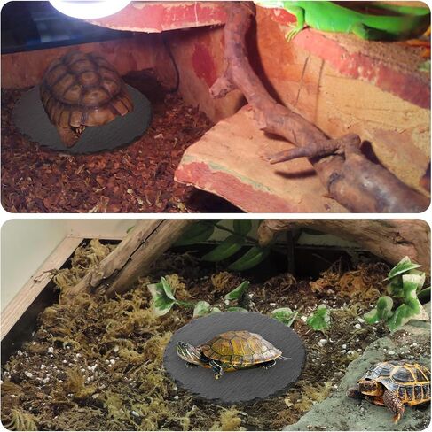 منصة تشمس الزواحف 5.9x5.9 بوصة صخرية طبيعية صخور صخور الطبق سلحفاة الموائل ديكور الموائل للديكور السحلي Crested Gecko Boughed Dragon Turtle Trans Tank in Kuwait