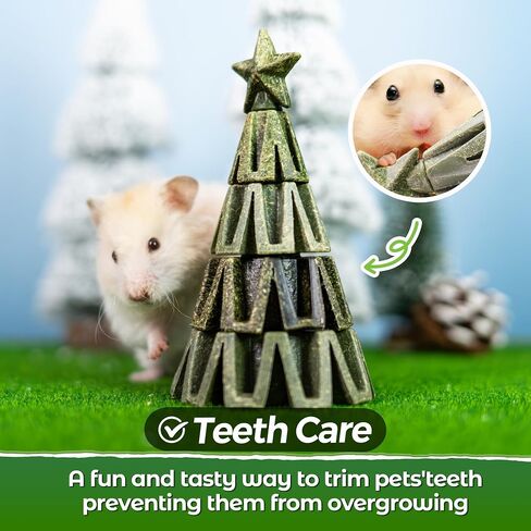 Teewy Christmas Tree Guinea Pig Toys ، الخضار الطبيعية ، الفواكه والتيموثاوس ، ألعاب Hamster مضغ للأسنان ، إثراء ألعاب خنزير غينيا ، ألعاب مضغ الحيوانات الصغيرة للشينشيلا ، الهامستر ، الفئران ، الجيربيل in Kuwait