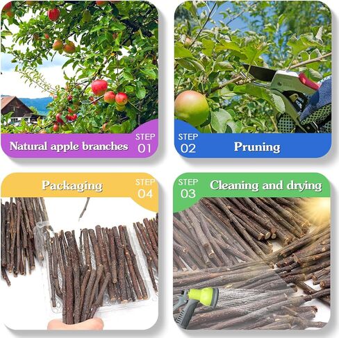 Apple Sticks,Premium Wooden Chew Stick Toys,250g Natural Apple Sticks for Guinea Pigs,Rabbits,Hamsters,Gerbils,Chinchillas and Small Rodents in Saudi Arabia