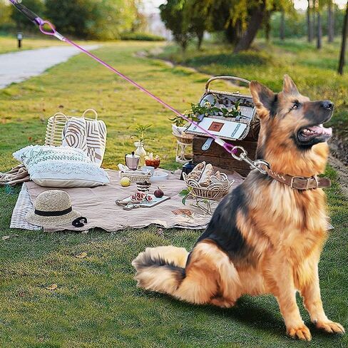 2 Pack Pack Proot Dog Extension ، 24 "Short Dog Leash Extender للتدريب على المشي ، مقود غير قابل للمضغ مناسب للكلاب الصغيرة المتوسطة (أسود*2) in Kuwait