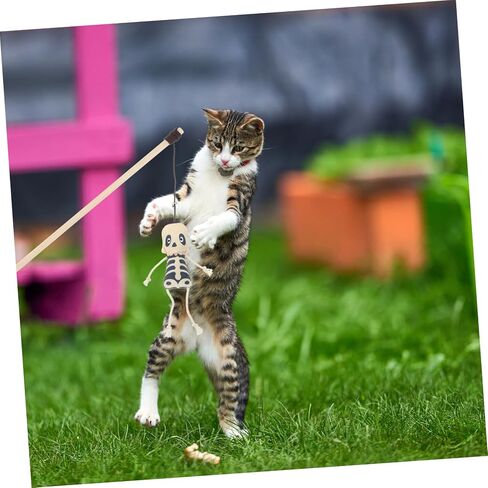 Besportble 2pcs هالوين القط أفخم كارتون ناعم catnip مدعين انتشار مفتراف القطاع الداخلي تحفيز خفيفة الوزن شبح رائعتين وتصميم جمجمة للقطط in Kuwait