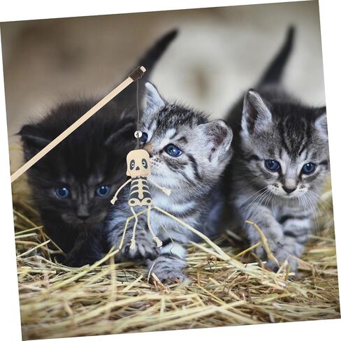 Besportble 2pcs هالوين القط أفخم كارتون ناعم catnip مدعين انتشار مفتراف القطاع الداخلي تحفيز خفيفة الوزن شبح رائعتين وتصميم جمجمة للقطط in Kuwait