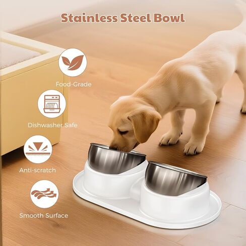 Tilted Elevated Cat Bowls, Dog Water and Food Bowl Set Anti Vomiting, Stainless Steel Pet Bowls with Base, Non-Slip Pet Feeder Bowls for Puppy Small Dogs Cats in Saudi Arabia