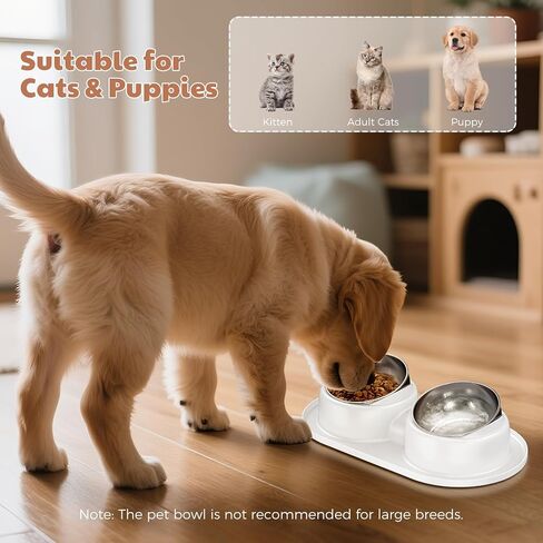 Tilted Elevated Cat Bowls, Dog Water and Food Bowl Set Anti Vomiting, Stainless Steel Pet Bowls with Base, Non-Slip Pet Feeder Bowls for Puppy Small Dogs Cats in Saudi Arabia