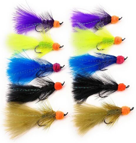 Egg sucking leech, fly fishing, multiple colors, trout, salmon, and other fresh water species, salmon hook, set of ten flies (10pcs set), two flies of each color, multiple sizes available (Hook # 6) in Saudi Arabia