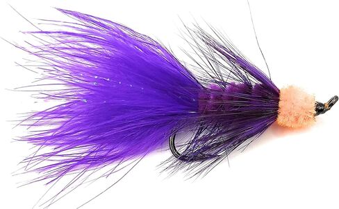 Egg sucking leech, fly fishing, multiple colors, trout, salmon, and other fresh water species, salmon hook, set of ten flies (10pcs set), two flies of each color, multiple sizes available (Hook # 6) in Saudi Arabia