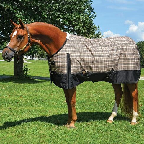 Black Label Heavy Weight Turnout Blanket 400 Gram 84 in Saudi Arabia