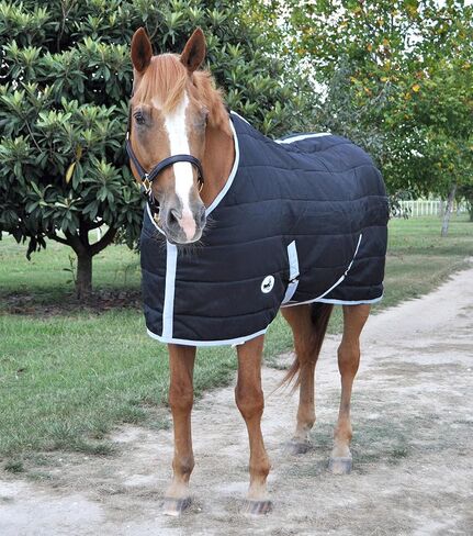 Jeffers Equine Closed Front Horse Stable Blanket, 72 Inch – Warm Insulated Stall & Barn Layer, Lightweight Polyfill Winter Blanket for Horses, Indoor Use, Travel, Grooming – Black Silver in Saudi Arabia