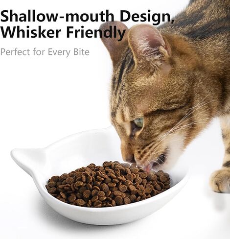 Ceramic Elevated Cat Bowl, Raised Cat Food Water Bowl for Indoor Cats with Stand, Titled Anti-Vomiting Cat Dish，Whisker Friendly, All Life Stage in Saudi Arabia