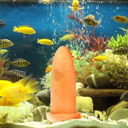 Popetpop Pottery Clay Discus Breading Cone: Discus Fish Proway Cone - إخفاء الكهوف مع غطاء شبكة من الفولاذ المقاوم للصدأ لتزيين المناظر الطبيعية المائية in Saudi Arabia