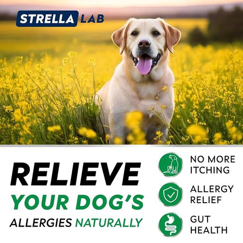 StrellaLab Dog Allergy Relief & Anti Itch Support Chews w/Omega 3: Real Ingredients, Real Taste! Skin & Coat Immune Supplement w/Fish Oil, Pumpkin & Enzymes — Developed by Experts - Made in USA -180Ct in Saudi Arabia