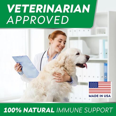 StrellaLab Dog Allergy Relief & Anti Itch Support Chews w/Omega 3: Real Ingredients, Real Taste! Skin & Coat Immune Supplement w/Fish Oil, Pumpkin & Enzymes — Developed by Experts - Made in USA -180Ct in Saudi Arabia