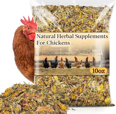 Chicken Nesting Hrebs - 10oz Dried Herbs and Flowers Mix Chicken Roost Bedding Herb Supplement Coop Refresher for Chickens Box Pads,Laying Hens Chicks Supplies,Vacuum Packed Bedding Winter in Saudi Arabia