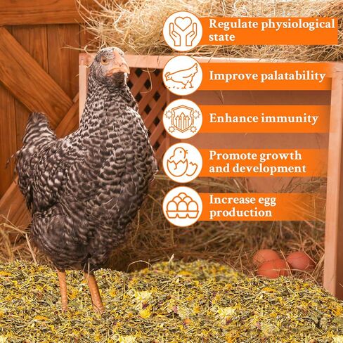 Chicken Nesting Hrebs - 10oz Dried Herbs and Flowers Mix Chicken Roost Bedding Herb Supplement Coop Refresher for Chickens Box Pads,Laying Hens Chicks Supplies,Vacuum Packed Bedding Winter in Saudi Arabia