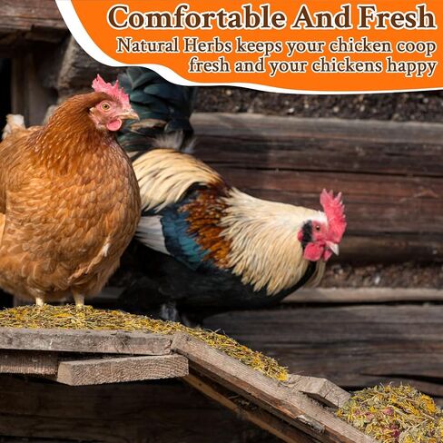 Chicken Nesting Hrebs - 10oz Dried Herbs and Flowers Mix Chicken Roost Bedding Herb Supplement Coop Refresher for Chickens Box Pads,Laying Hens Chicks Supplies,Vacuum Packed Bedding Winter in Saudi Arabia