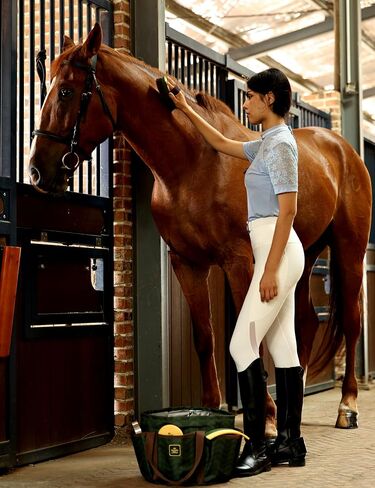 9PCS Horse Grooming Kit Curry Comb Sweat Scraper Horse Bathing Supplies Grooming Tools with Storage Bag Sugar Taro in Saudi Arabia