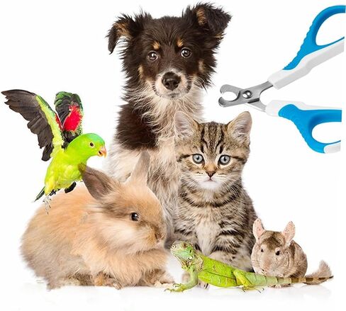 Milisten Pet Nail Cutters Dog and Cat Nail Scissors for Small Breed Safe and Comfortable Grip in Saudi Arabia