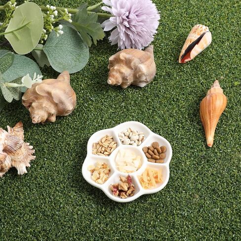 Hermit Crab Food Dish, 2 Pcs Mini Ceramic Hermit Crab Feeding Dish Tiny Reptile Water Bowl with 7 Compartments for Snail, Gecko, Lizard, Aquarium Accessory in Saudi Arabia