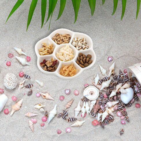 Hermit Crab Food Dish, 2 Pcs Mini Ceramic Hermit Crab Feeding Dish Tiny Reptile Water Bowl with 7 Compartments for Snail, Gecko, Lizard, Aquarium Accessory in Saudi Arabia