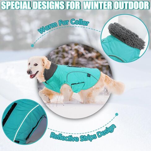 EMUST Winter Dog Coats, Fleece Dog Apparel for Cold Weather, British Style Windproof Warm Pet Jacket for for Winter, Turquoise, XS in Kuwait