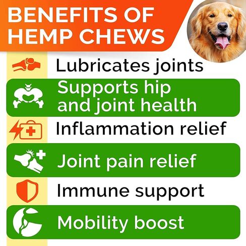Hemp Chews for Dogs - Glucosamine chondroitin للكلاب تخفيف آلام المفاصل مع زيت القنب ، والكلاب المكمل والمفاصل ، والكورمور MSM للتنقل ، وملحق مفصل الكلاب ، والكلب القنب يعالج المفاصل الصحية in Saudi Arabia