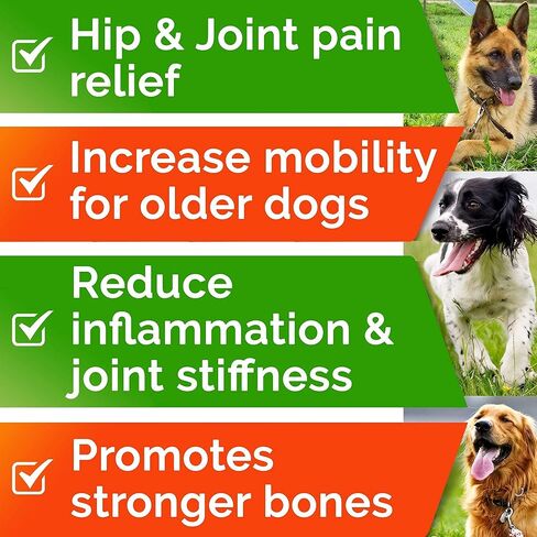 Hemp Chews for Dogs - Glucosamine chondroitin للكلاب تخفيف آلام المفاصل مع زيت القنب ، والكلاب المكمل والمفاصل ، والكورمور MSM للتنقل ، وملحق مفصل الكلاب ، والكلب القنب يعالج المفاصل الصحية in Saudi Arabia