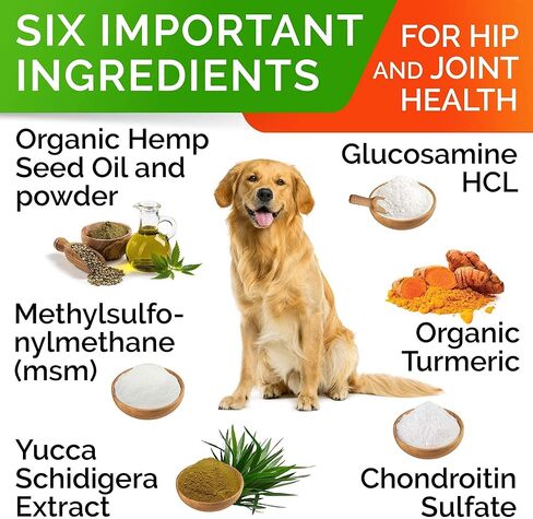 Hemp Chews for Dogs - Glucosamine chondroitin للكلاب تخفيف آلام المفاصل مع زيت القنب ، والكلاب المكمل والمفاصل ، والكورمور MSM للتنقل ، وملحق مفصل الكلاب ، والكلب القنب يعالج المفاصل الصحية in Saudi Arabia