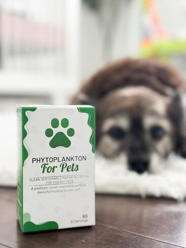 Phytoplankton for Pets Powder | Global Phytoplankton | Microalgae, Omega-3 EPA & DHA, Antioxidants, Beta Carotene, Zeaxanthin | Skin & Coat, Joint, Digestive & Immune Support | 6 g / 30 Servings in Saudi Arabia
