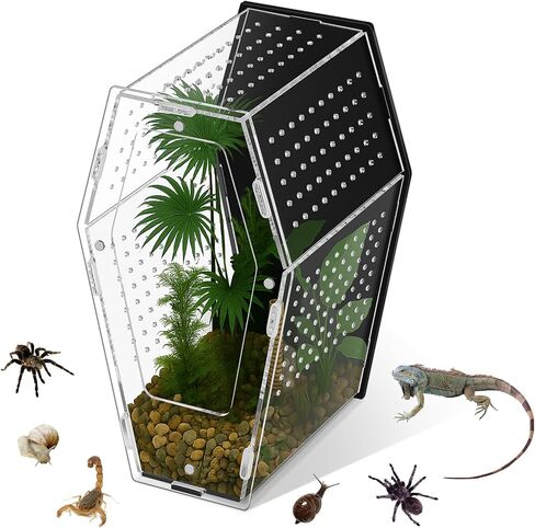 Yalikop Acrylic Jumping Spider Habitat Versatile Reptile Enclosure Transparent Insect Terrarium Habitat for Spiders, Tarantula, Gecko, Chameleon, Beetle, Mantis, and Hermit Crab in Saudi Arabia