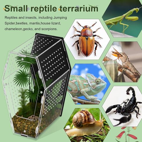 Yalikop Acrylic Jumping Spider Habitat Versatile Reptile Enclosure Transparent Insect Terrarium Habitat for Spiders, Tarantula, Gecko, Chameleon, Beetle, Mantis, and Hermit Crab in Saudi Arabia