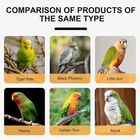 Adjustable Parrot Flying Leash for Secure and Controlled Bird Exercise Parrot Leash with Auto Fly Mechanism Parrots Retractable Rope in Saudi Arabia