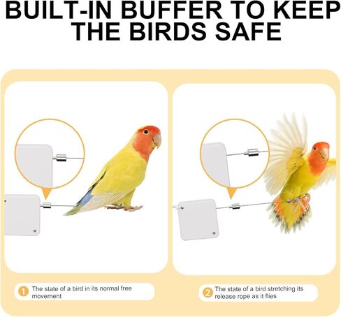 Adjustable Parrot Flying Leash for Secure and Controlled Bird Exercise Parrot Leash with Auto Fly Mechanism Parrots Retractable Rope in Saudi Arabia
