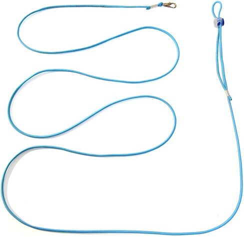 Escape Proof Parrot Bird Leash with Cord Elastic Bird Leash with Metal Ankle Rings Pet Bird Training Rope 3Meter in Saudi Arabia