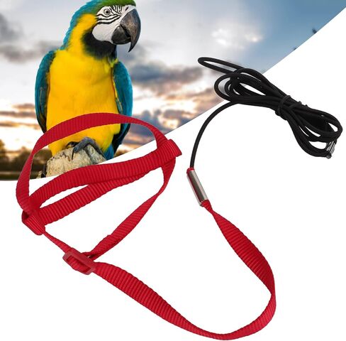 Bird Harness Leash, Elastic Adjustable Portable Parrot Flying Training Rope Cockatiel Leash Bird Nylon Rope for Walking Attending Party (XS) in Saudi Arabia
