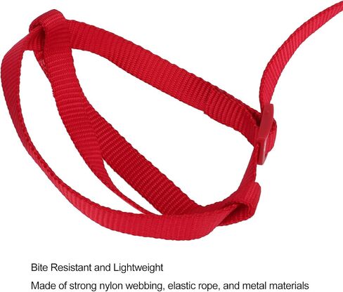 Bird Harness Leash, Elastic Adjustable Portable Parrot Flying Training Rope Cockatiel Leash Bird Nylon Rope for Walking Attending Party (XS) in Saudi Arabia