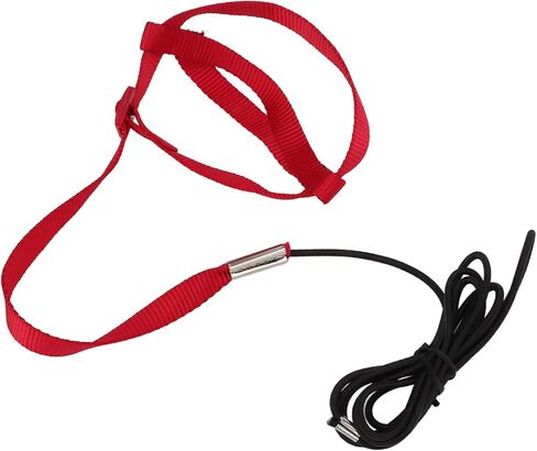 Bird Harness Leash, Elastic Adjustable Portable Parrot Flying Training Rope Cockatiel Leash Bird Nylon Rope for Walking Attending Party (XS) in Saudi Arabia