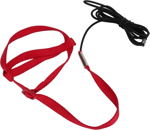 Bird Harness Leash, Elastic Adjustable Portable Parrot Flying Training Rope Cockatiel Leash Bird Nylon Rope for Walking Attending Party (XS) in Saudi Arabia