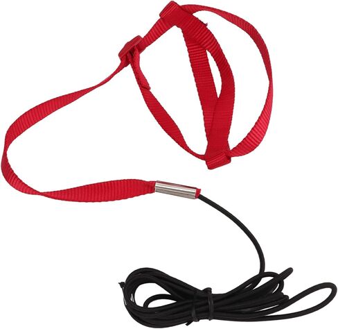 Bird Harness Leash, Elastic Adjustable Portable Parrot Flying Training Rope Cockatiel Leash Bird Nylon Rope for Walking Attending Party (XS) in Saudi Arabia