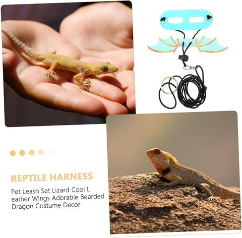 Generic 5Pcs Adjustable Reptile Harness Leash with Wings for Bearded Dragon and Lizard Soft Skin-Friendly Outdoor Walking Strap for Small Pets in Saudi Arabia
