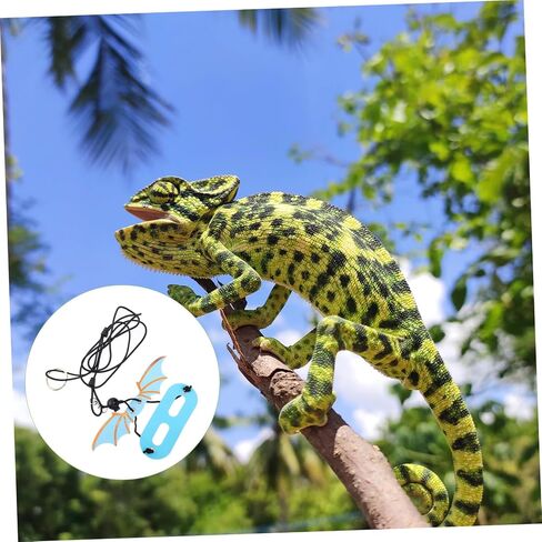 Generic 5Pcs Adjustable Reptile Harness Leash with Wings for Bearded Dragon and Lizard Soft Skin-Friendly Outdoor Walking Strap for Small Pets in Saudi Arabia