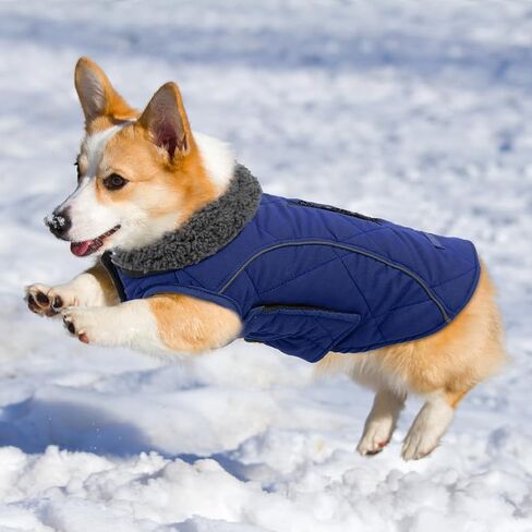 EMUST Winter Dog Coats, Fleece Dog Apparel for Cold Weather, British Style Windproof Warm Pet Jacket for for Winter, Turquoise, XS in Kuwait