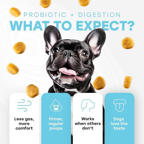 Probiotics for Dogs - PhD Endorsed Digestive Enzymes - Gut Health, Diarrhea & Bowel Support - Dog Treats with Turmeric, Omega-3 & Fiber - Immune Soft 140 Chews - Beef Flavor - Made in USA in Saudi Arabia